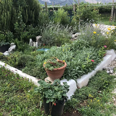 Feriegård Tre Forti Dolcè